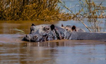 RUSIZI National Park