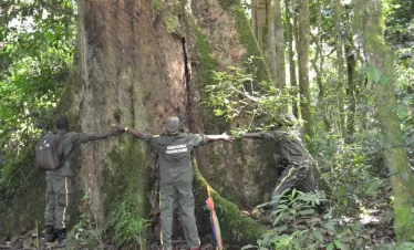 Natural Reserve of BURURI