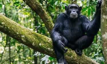 KIBIRA NATIONAL Park