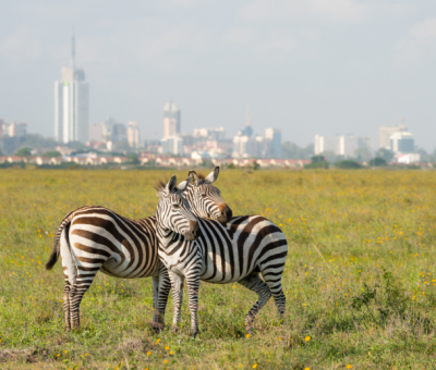 Nairobi Nairobi